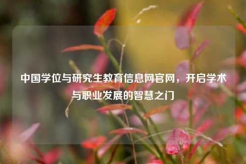 中国学位与研究生教育信息网官网，开启学术与职业发展的智慧之门
