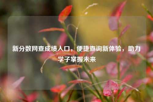 新分数网查成绩入口，便捷查询新体验，助力学子掌握未来