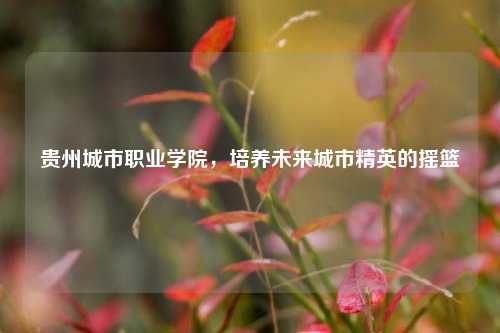 贵州城市职业学院，培养未来城市精英的摇篮