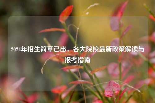 2024年招生简章已出，各大院校最新政策解读与报考指南
