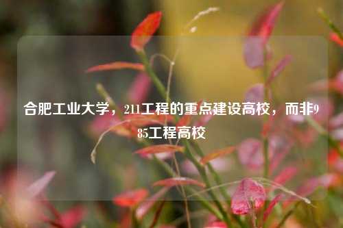 合肥工业大学，211工程的重点建设高校，而非985工程高校