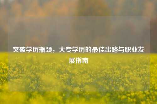 突破学历瓶颈，大专学历的最佳出路与职业发展指南