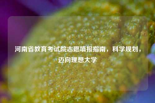 河南省教育考试院志愿填报指南，科学规划，迈向理想大学