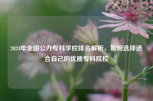 2024年全国公办专科学校排名解析，如何选择适合自己的优质专科院校