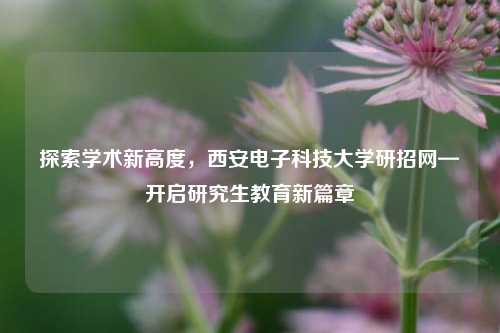 探索学术新高度，西安电子科技大学研招网—开启研究生教育新篇章