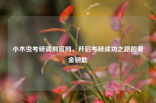 小木虫考研调剂官网，开启考研成功之路的黄金钥匙