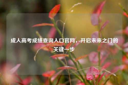 成人高考成绩查询入口官网，开启未来之门的关键一步