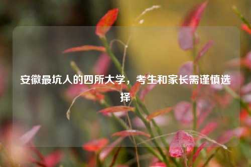 安徽最坑人的四所大学，考生和家长需谨慎选择