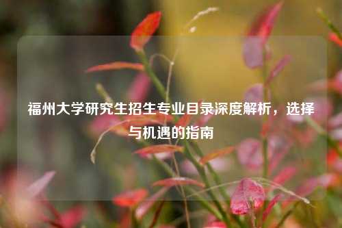 福州大学研究生招生专业目录深度解析，选择与机遇的指南