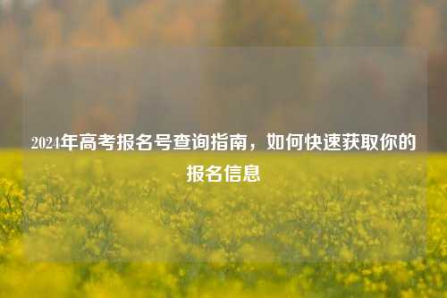 2024年高考报名号查询指南，如何快速获取你的报名信息