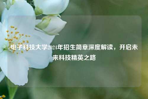 电子科技大学2024年招生简章深度解读，开启未来科技精英之路