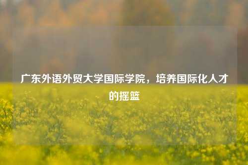 广东外语外贸大学国际学院，培养国际化人才的摇篮