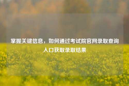 掌握关键信息，如何通过考试院官网录取查询入口获取录取结果