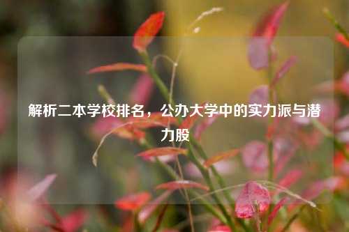 解析二本学校排名，公办大学中的实力派与潜力股