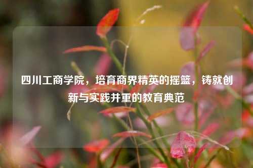 四川工商学院，培育商界精英的摇篮，铸就创新与实践并重的教育典范