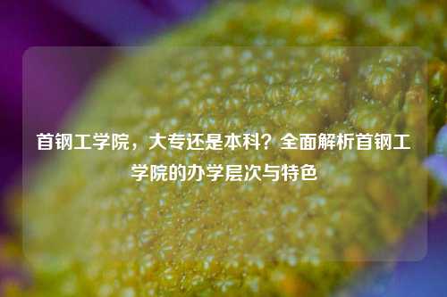 首钢工学院，大专还是本科？全面解析首钢工学院的办学层次与特色