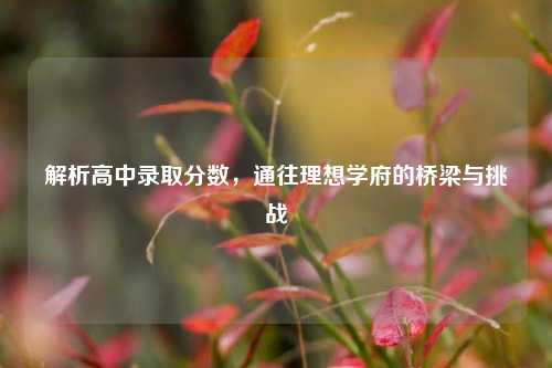 解析高中录取分数，通往理想学府的桥梁与挑战