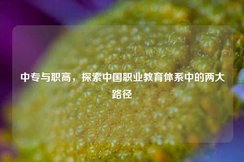 中专与职高，探索中国职业教育体系中的两大路径