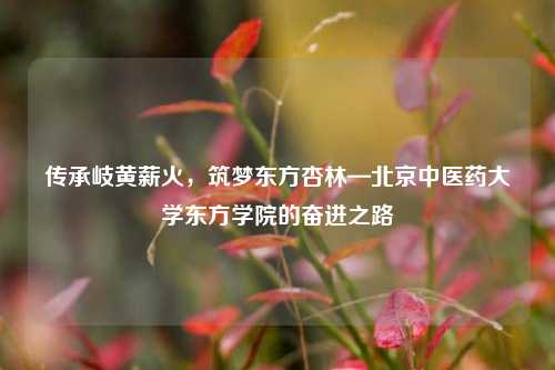 传承岐黄薪火，筑梦东方杏林—北京中医药大学东方学院的奋进之路