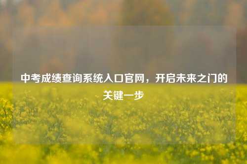 中考成绩查询系统入口官网，开启未来之门的关键一步