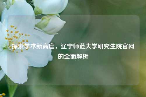 探索学术新高度，辽宁师范大学研究生院官网的全面解析