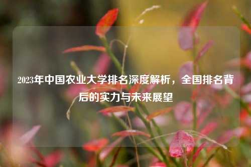 2023年中国农业大学排名深度解析，全国排名背后的实力与未来展望