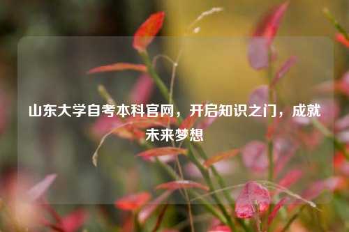 山东大学自考本科官网，开启知识之门，成就未来梦想