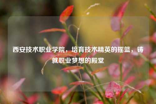 西安技术职业学院，培育技术精英的摇篮，铸就职业梦想的殿堂