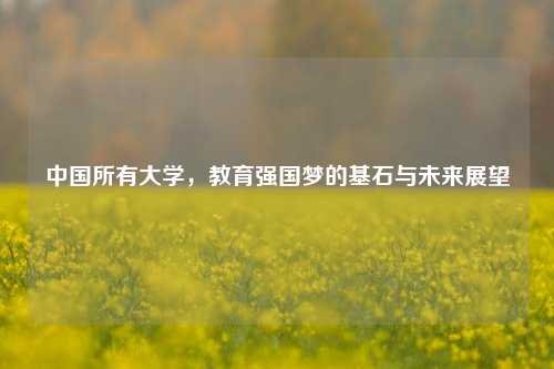 中国所有大学，教育强国梦的基石与未来展望