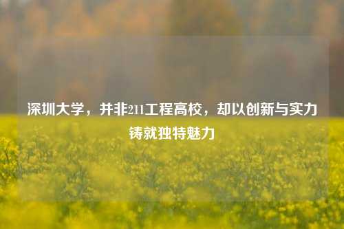 深圳大学，并非211工程高校，却以创新与实力铸就独特魅力