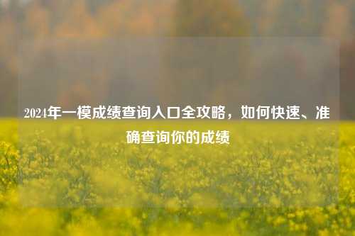 2024年一模成绩查询入口全攻略，如何快速、准确查询你的成绩