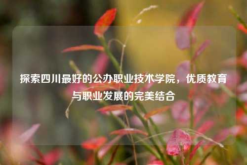 探索四川最好的公办职业技术学院，优质教育与职业发展的完美结合
