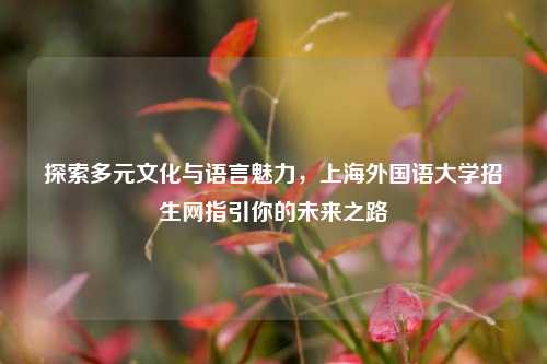探索多元文化与语言魅力，上海外国语大学招生网指引你的未来之路