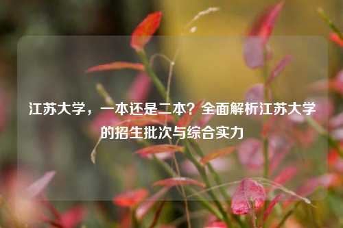 江苏大学，一本还是二本？全面解析江苏大学的招生批次与综合实力