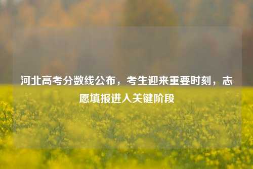 河北高考分数线公布，考生迎来重要时刻，志愿填报进入关键阶段