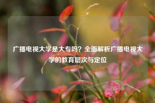 广播电视大学是大专吗？全面解析广播电视大学的教育层次与定位