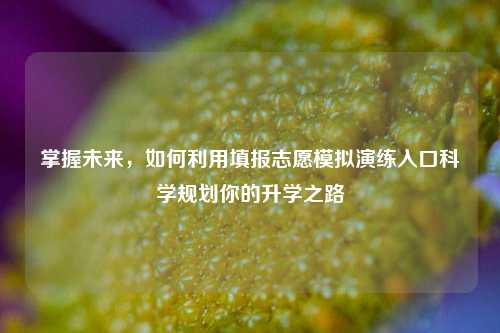 掌握未来，如何利用填报志愿模拟演练入口科学规划你的升学之路