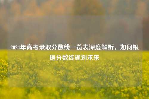 2024年高考录取分数线一览表深度解析，如何根据分数线规划未来