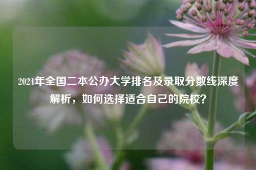 2024年全国二本公办大学排名及录取分数线深度解析，如何选择适合自己的院校？