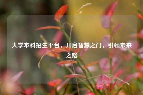 大学本科招生平台，开启智慧之门，引领未来之路