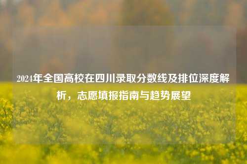 2024年全国高校在四川录取分数线及排位深度解析，志愿填报指南与趋势展望