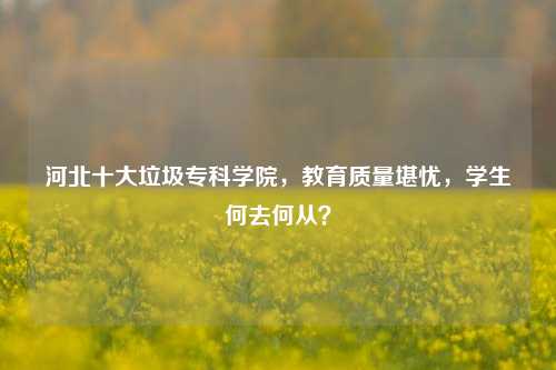 河北十大垃圾专科学院，教育质量堪忧，学生何去何从？