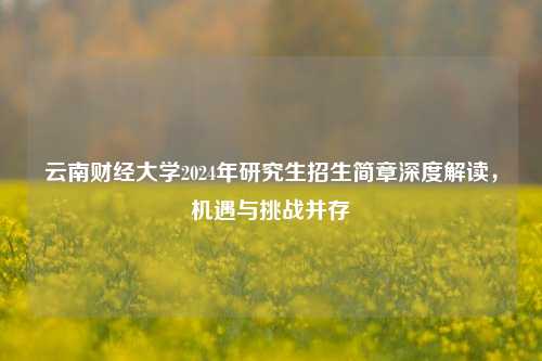 云南财经大学2024年研究生招生简章深度解读，机遇与挑战并存