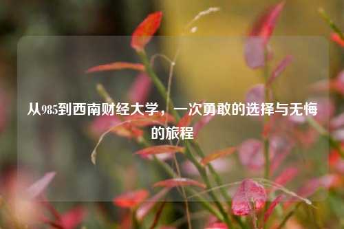 从985到西南财经大学，一次勇敢的选择与无悔的旅程