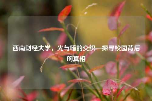 西南财经大学，光与暗的交织—探寻校园背后的真相