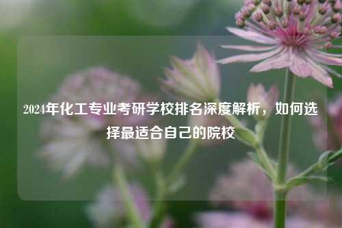 2024年化工专业考研学校排名深度解析，如何选择最适合自己的院校