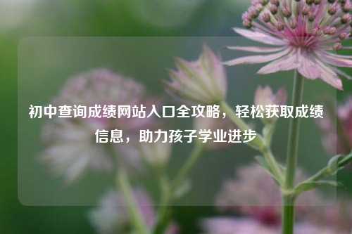 初中查询成绩网站入口全攻略，轻松获取成绩信息，助力孩子学业进步