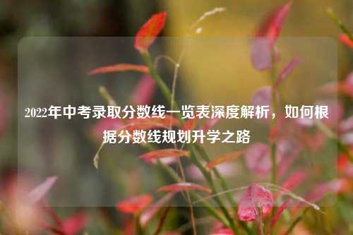 2022年中考录取分数线一览表深度解析，如何根据分数线规划升学之路