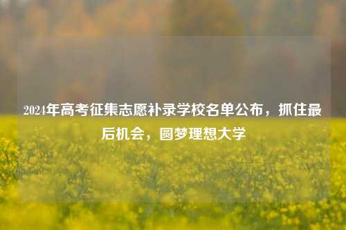 2024年高考征集志愿补录学校名单公布，抓住最后机会，圆梦理想大学