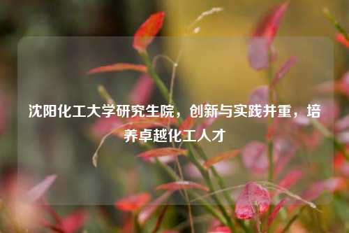 沈阳化工大学研究生院，创新与实践并重，培养卓越化工人才